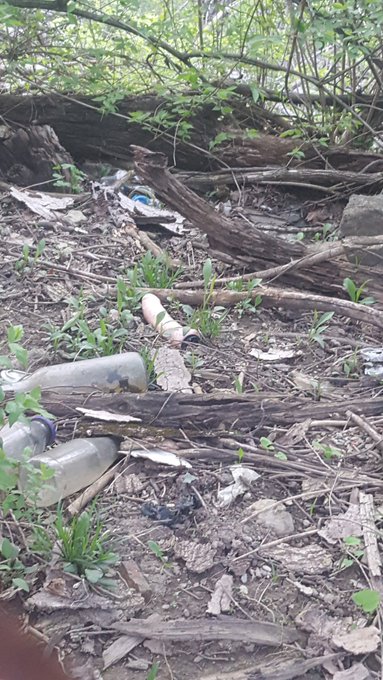 Found a dildo in the woods. Happy Earth Day 💜🌎 https://t.co/nf0HDOBPNu