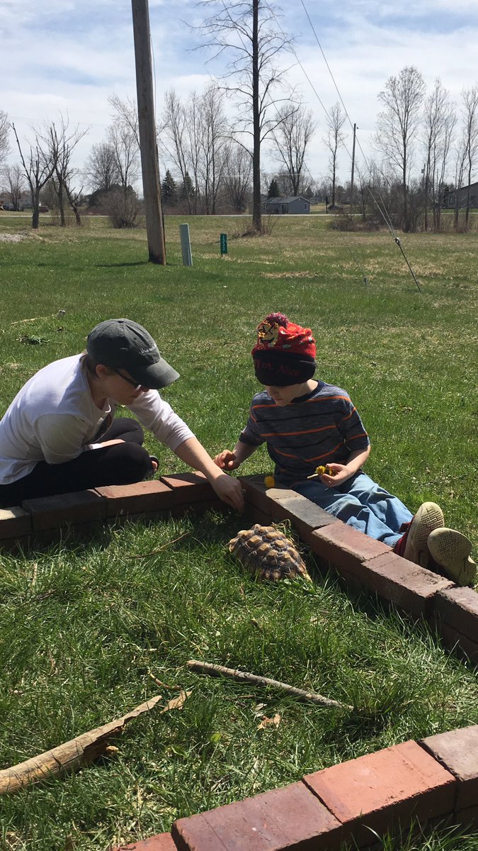 Nickolai Timbs tweet media