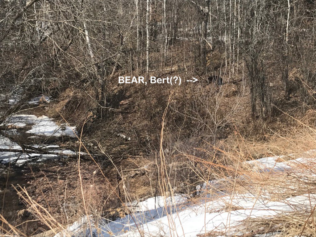 Our Lakewalk Friend, Bert weareduluth.com/our-lakewalk-f…