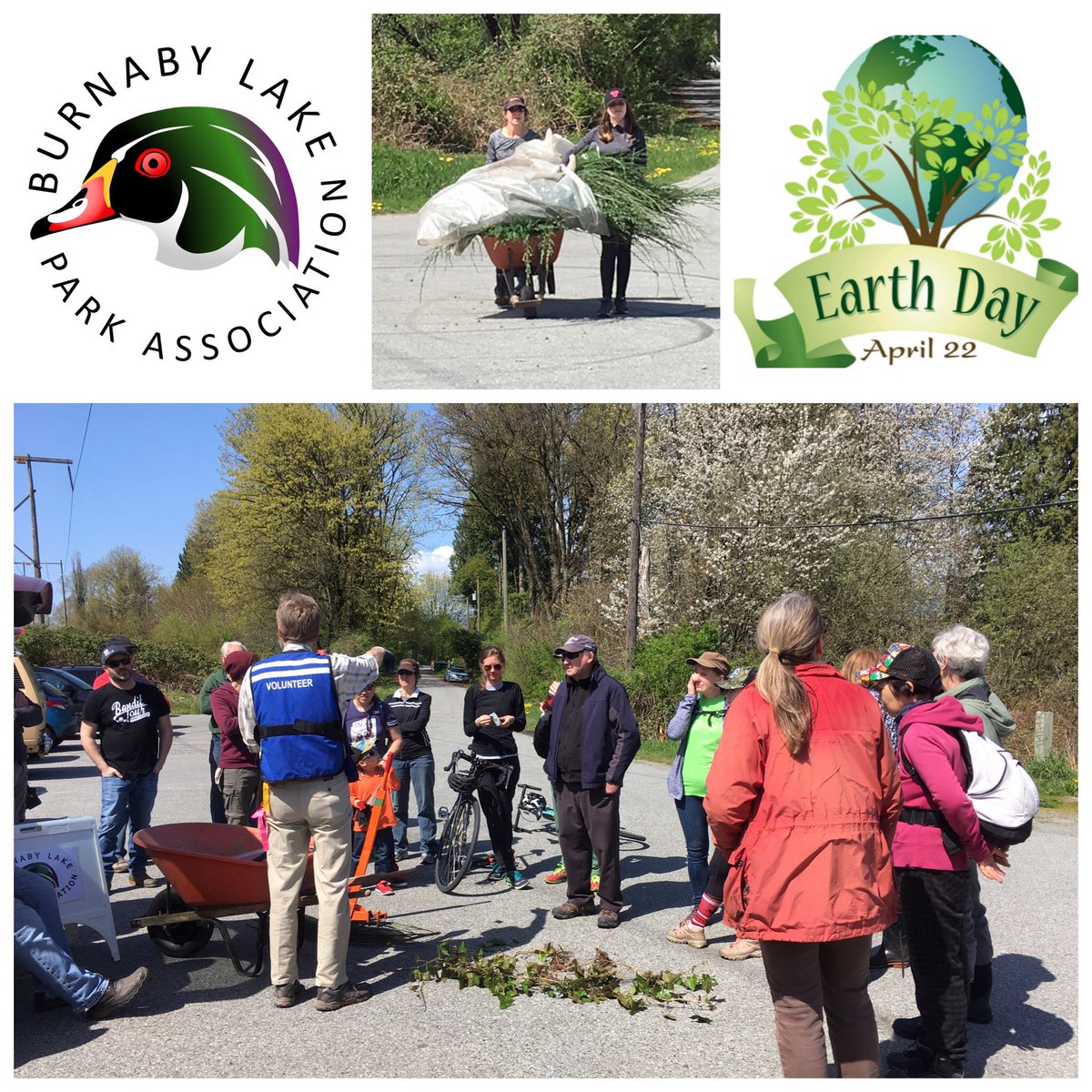 BurnabyLakePark's tweet photo. HAPPY EARTH DAY! π
π±Thanks to a great group of #volunteers who came out & joined us at our first #Weedbusters of the season. What a great day to be outdoors to celebrate #EarthDay with all of you. THANK YOU NATIVE PLANT CHAMPIONS! π±#EarthOptimism
https://t.co/SlJlRHfT7O https://t.co/ZhDKSZWnZR