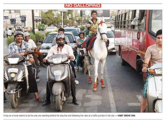 HanifSindhi11's tweet photo. #DNA #Ahmedabad #covagrge #Traffic #rules #Following #horse #cartacker #peopole #commuters #trafficsignol #trafficjunction https://t.co/Q1klZglkf4