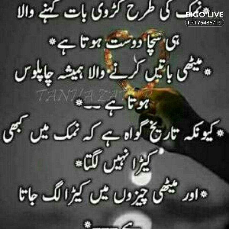 powerlink2018's tweet photo. It wouldn't be a party without you #BIGOLIVE.   
https://t.co/Y7yaMqFVwX https://t.co/SMndMDnDVP