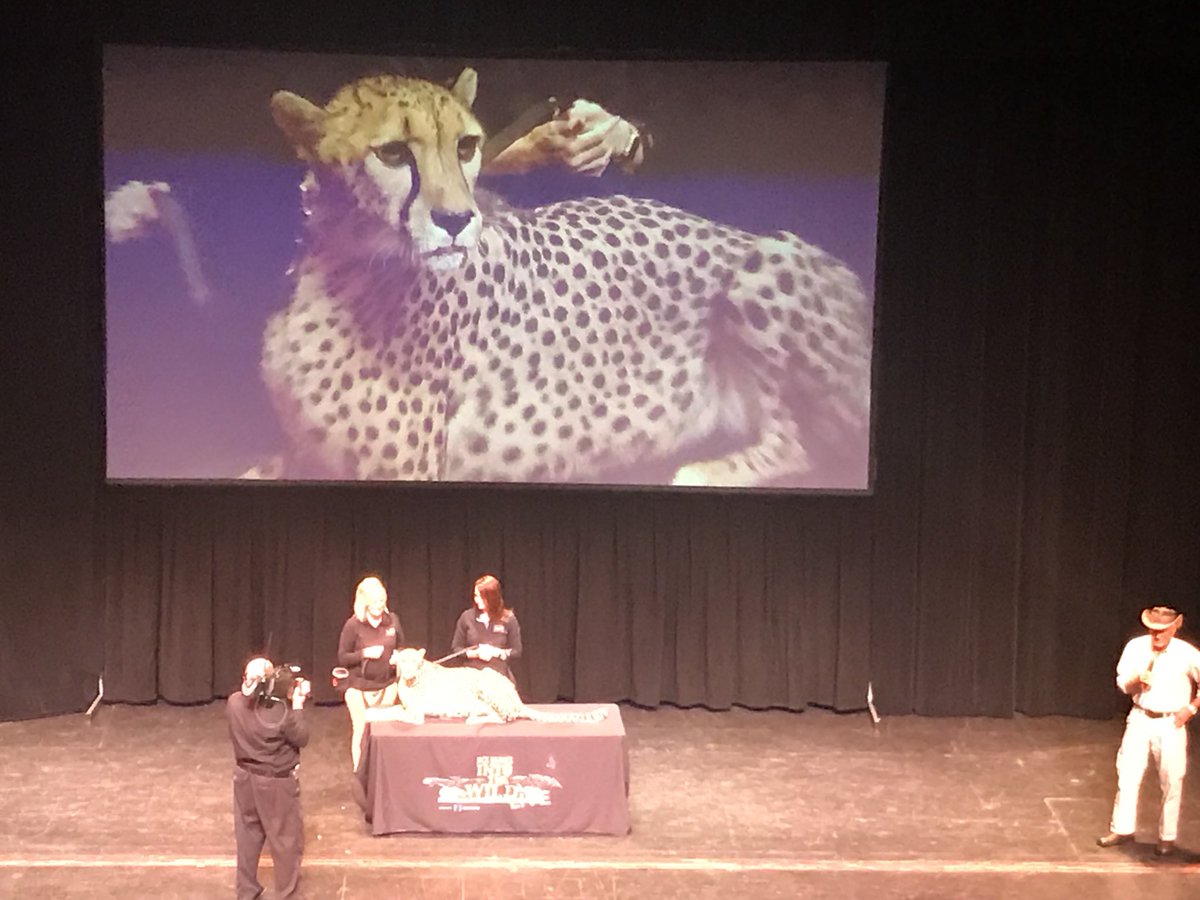 LongB227's tweet photo. When Ellie was researching Jack Hanna for her 5 pocket person project, we learned he would be in Toledo today for a live show! Both she and Jack were so excited to see him and learn more about animals. #roadtrip #futurezookeeper @ValentineTheatr @MissDelagrange @ColumbusZoo https://t.co/KG7KcC4pek