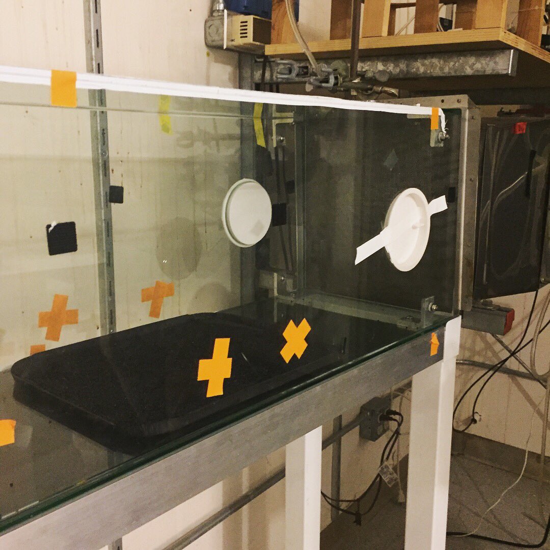 InsectFair's tweet image. An #interesting #experiment conducted by Ben at @UCRentomology : to test the #mosquitoes behavior toward the human scent! Want to know more about his research? Come to our 4th Annual Insect Fair at Riverside downtown on Saturday, April 28, 2018! 
#insect #bugs #weekendfun #UCR