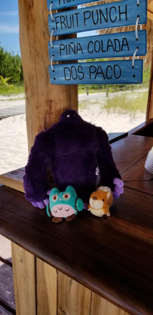 CCJobDeveloper's tweet image. Look who #EveTheOwl bumped into at the @CCMeliaCayoCoco beach bar. Earl the Squirrel and @MonsterCa mascot. Mojitos for everyone. Don't forget the sun block. #funatthebeach #oldfriends @MeliaHotelsInt