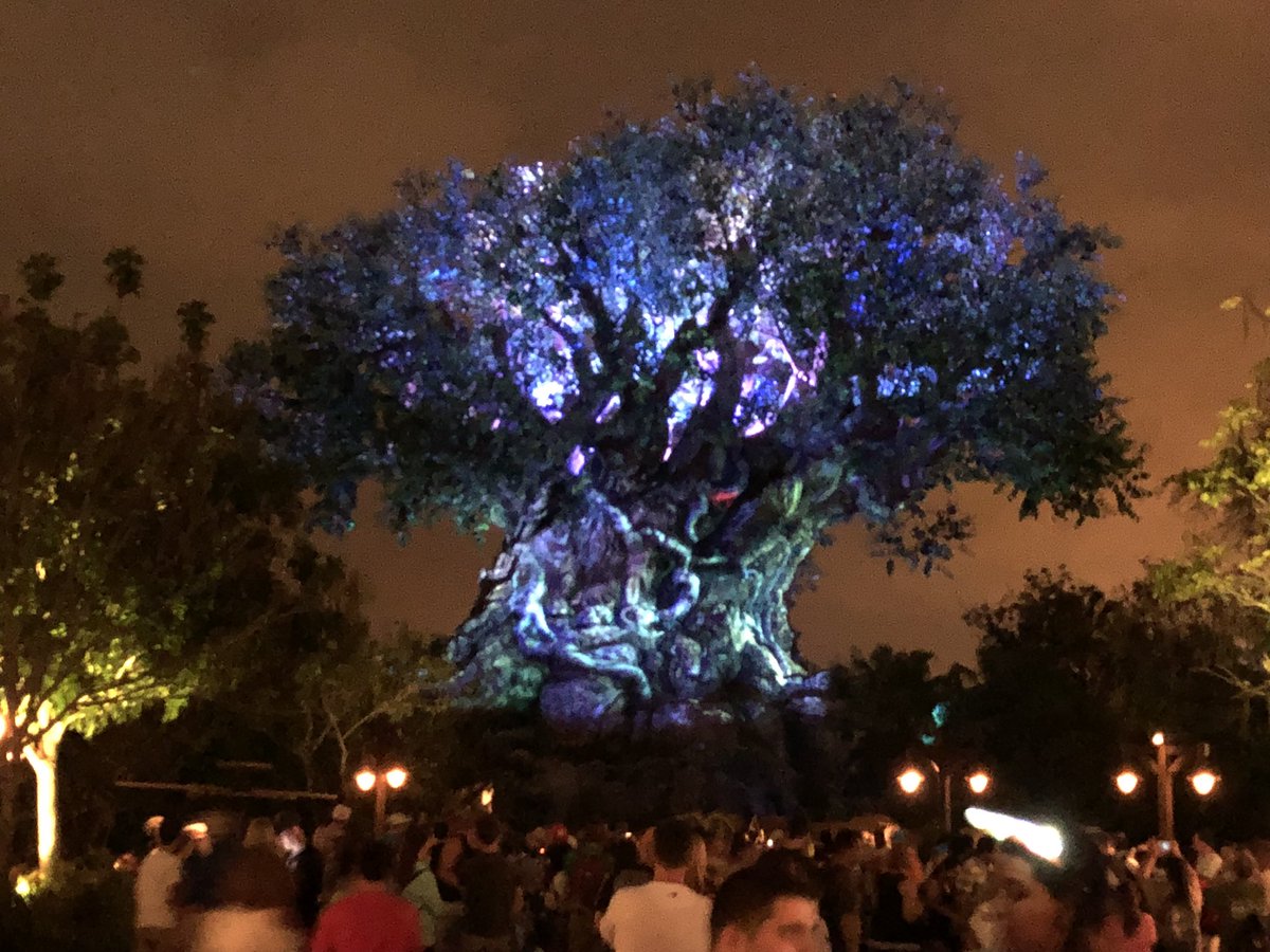 WDWCelebrations's tweet photo. Our celebration of #TwoWildDecades has officially come to a close! Thanks to all of our guests for another incredible event! See ya real soon! https://t.co/aQv8A9jThy