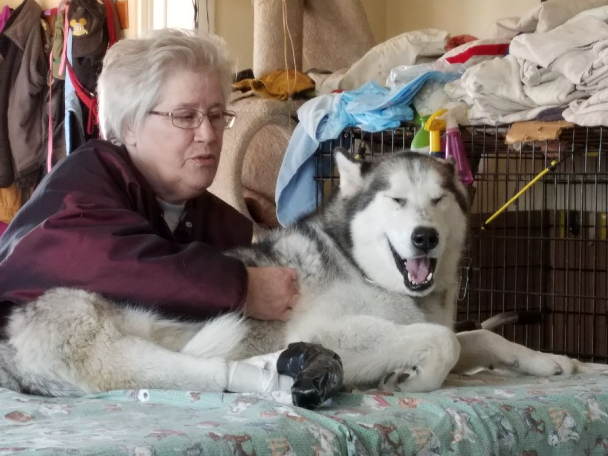 AntoinesFund's tweet photo. Happiness is a therapeutic doggy massage! #AntoinesTale 🐾🐶 https://t.co/i5CsELuhf5