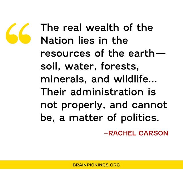 themarginalian's tweet photo. In 1953, Rachel Carson – who would later inspire the creation of the first #EarthDay – wrote this extraordinary and prescient letter protesting the government's assault on nature: https://t.co/Ni1O9Pq6Tc https://t.co/Qn2RdQ6C12