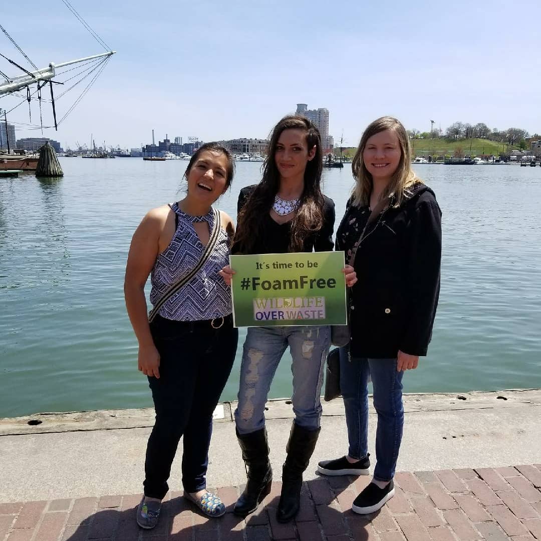 BelloMelanie's tweet photo. Happy #EarthDay ! To celebrate,  we need to ban polystyrene! #foamfreemd #wildlifeoverwaste https://t.co/jQZQ6yg2bL