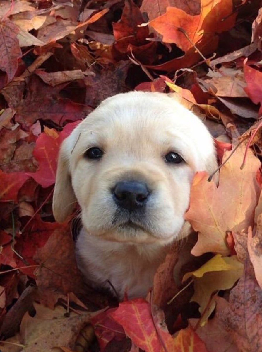 I’ll take 10 please😍😍