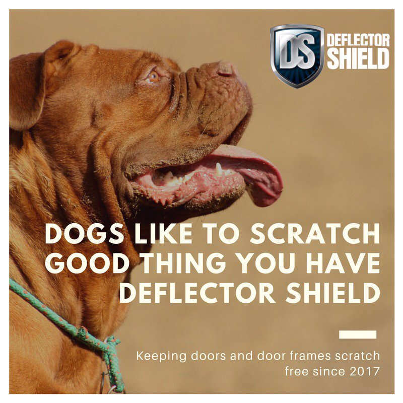 DeflectorShld tweet picture