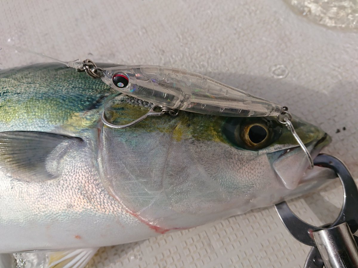 フィッシングマックス スタッフ釣果情報 岸和田店 九鬼です 今日は 剣 さんでハマチのキャスティングゲーム アズーロ 徹湾シンキングペンシルでバンバン釣れてます 青物狙いの為シングルフックにチューンして使用 いい感じ