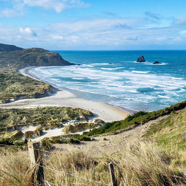 The weather forecast for the weekend was depressing: storm and rain allover. But guess what, the unpredictability of the Dunedin weather finally paid off and we had days full of sunshine (and of course the occasional short shower in between). Perfect con… ift.tt/2K89uFx