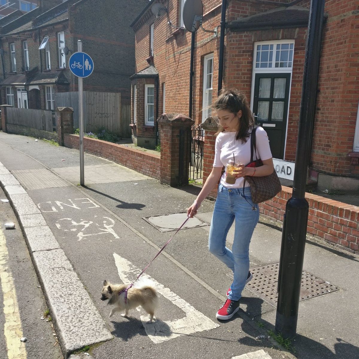 lndnpetsitting's tweet photo. #summer #london #love #bella 🐾 ❤ 🐕 https://t.co/LfalEIFwLp