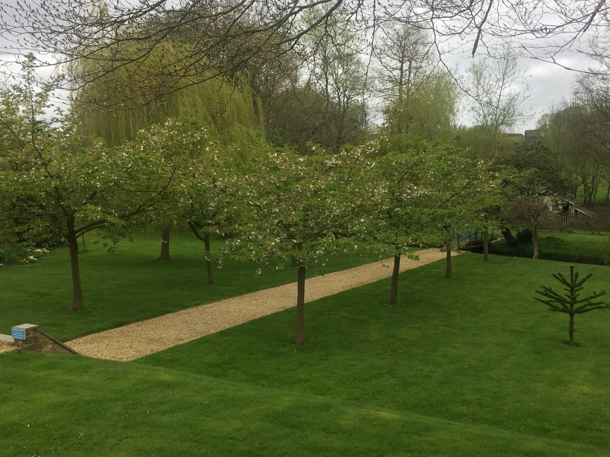 We love this time of the year at Lanes, the trees are blossoming!