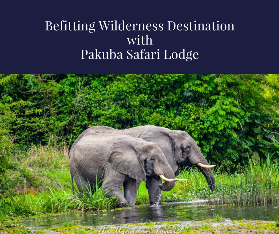 Pakuba Safari lodge tweet media