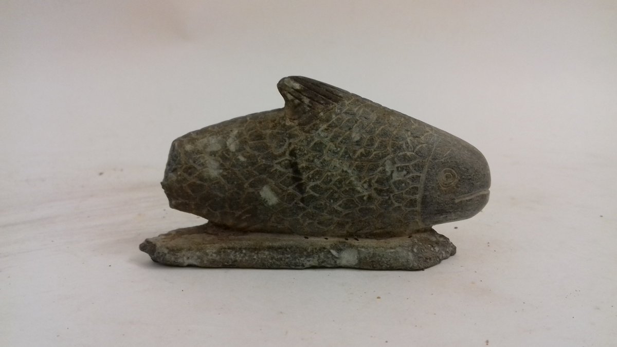 GarstangMuseum's tweet photo. "I shall tell you like the catcher of fish, he is more afflicted than (any other) profession." - Satire of the trades 

Slate fish from Abydos, E.7823

#archaeology #fishing #friendlyfish https://t.co/brQ3xhw4wh
