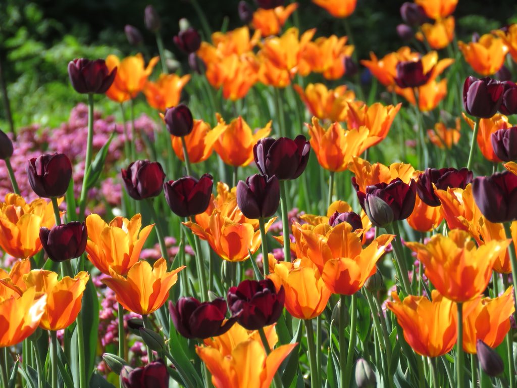 angelagill501's tweet image. 11 mile walk starting in #Bromley#London #Downe #DownHouse