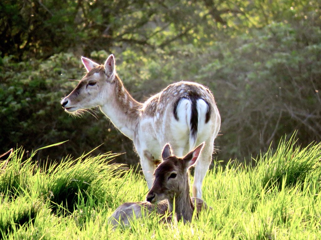 angelagill501's tweet image. 11 mile walk starting in #Bromley#London #Downe #DownHouse