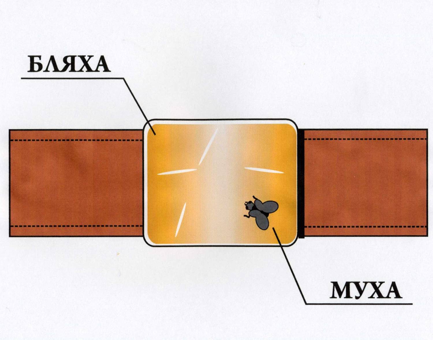 муха бляха муха. как выглядит бляха муха. бляха- муха бляха- муха. игрушка бляха- муха. мягкая игрушка бляха муха.