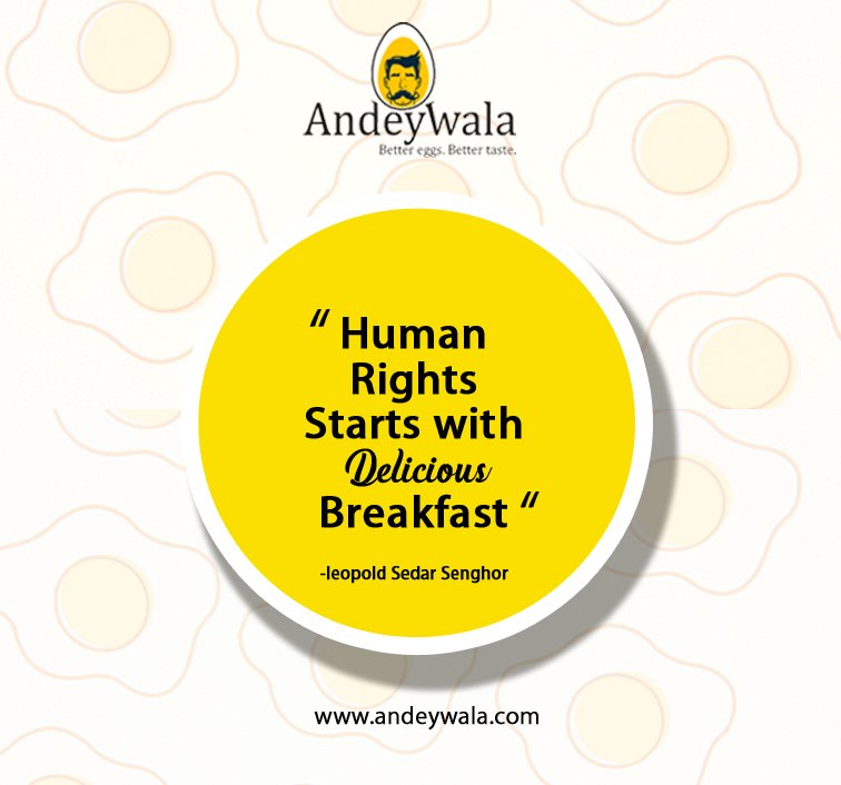 andeywala's tweet photo. Are you hungry?
Wait we have something nutritious meal
Egg dishes prepared by using 100% natural ingredients
https://t.co/rMFq5oDwW0
#egg #eggs #eggporn #eggy #eggslut #eggsandwich #eggdish #eggrecipes #andey #amlet #omelette #friedegg #deviledeggs #eggsalad #eggrolls #eggcurry https://t.co/hJVceRE3D7