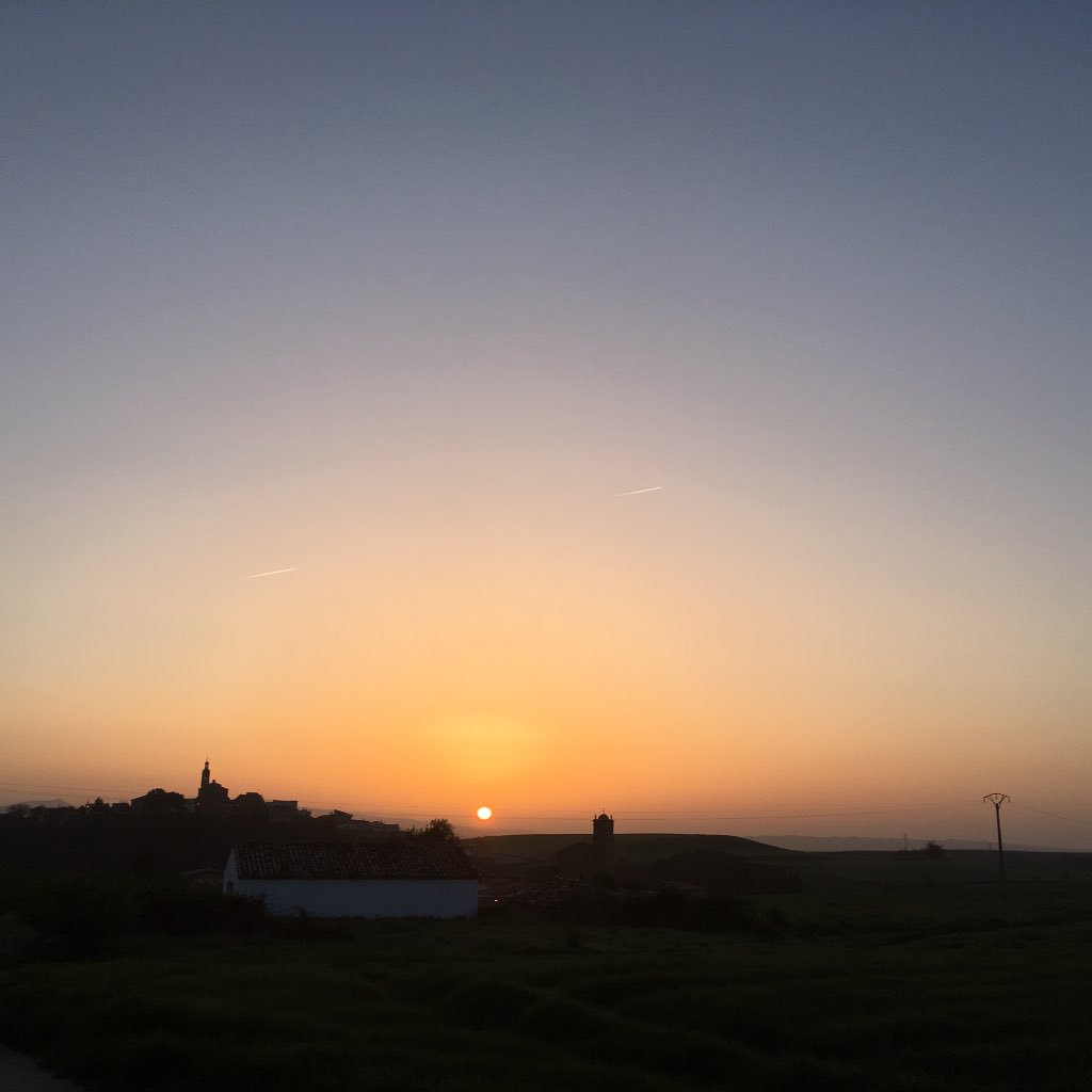 willbidder tweet media