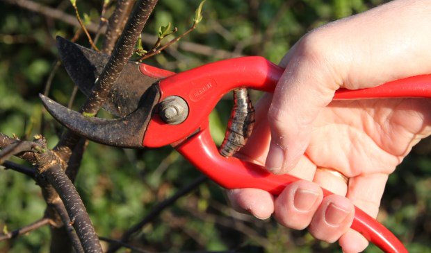Graag Gedaan vraagt zelf hulp - internetbode.nl/regio/halderbe…