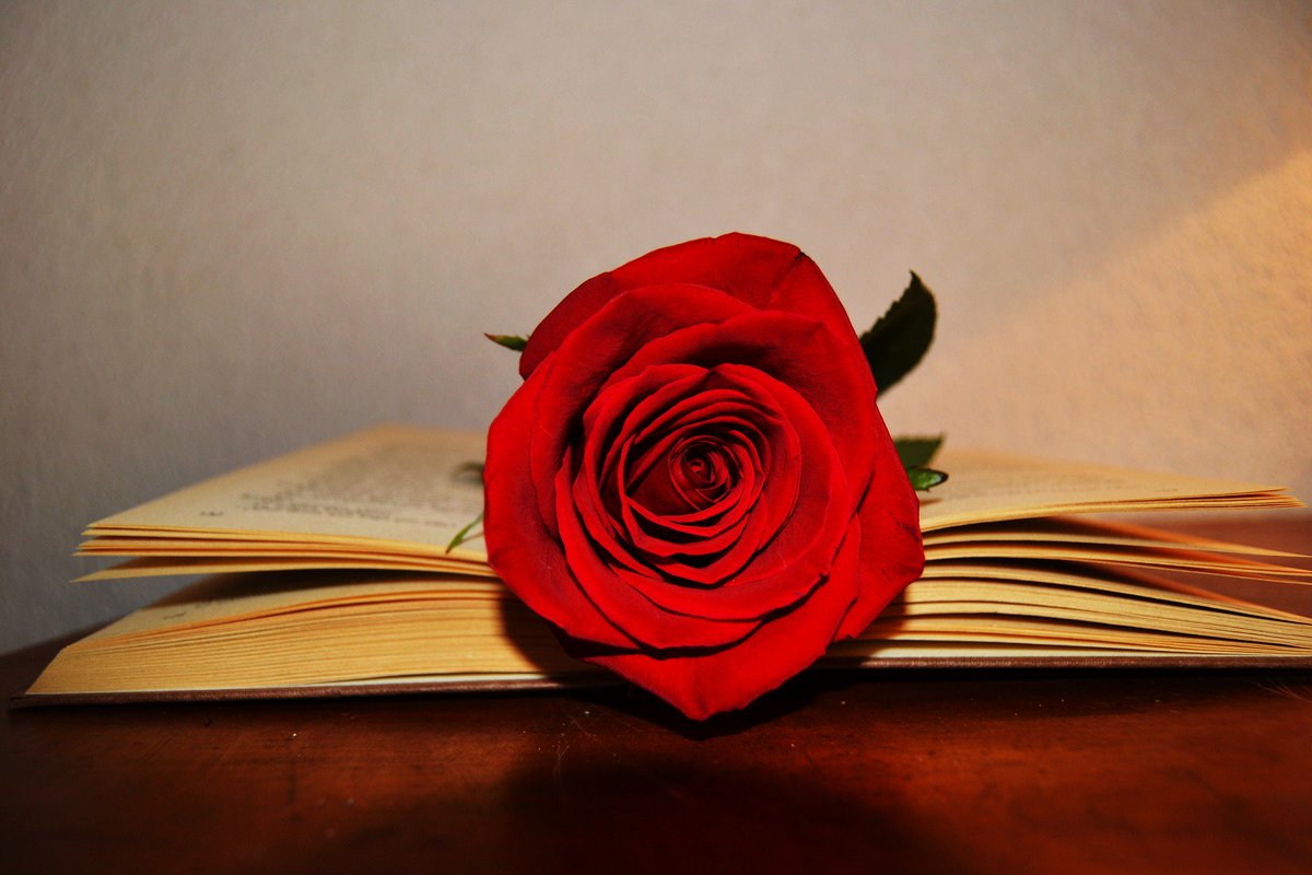 EspriProtocolo's tweet photo. Hoy es día de tradiciones: que tengáis muchos libros y muchas rosas 🌹📚¡FELIZ SANT JORDI! #SantJordi #SantJordi18 #23Abril #tradiciones #Espri #EspriProtocolo https://t.co/sGnVcWw7SV