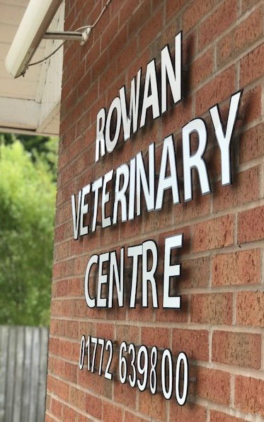 RowanVets's tweet photo. Need to ensure that your pet's health is in good hands?  Short on time?  Register here through our on-line registration form.  It's quick, easy and free!  #rowanvets #vetsinblackpool #vetsinkirkham #vetsinfreckleton #vetsinwarton #vetsinlytham

https://t.co/7PyLbFXZhu https://t.co/vVmgA56kpA