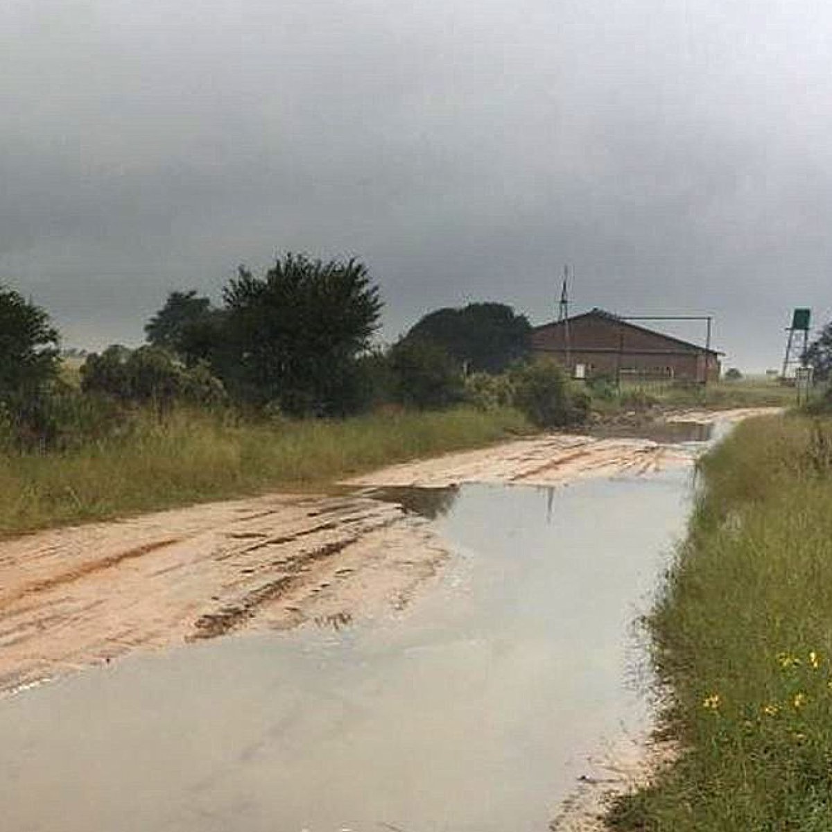 HaifaGroup's tweet photo. Multicote™ Agri proves to be the winning recipe for potato during heavy rainfall in South https://t.co/Pam7rVvSyd here to find out more: https://t.co/CwrZwZKAaz
#haifagroup #multicote #multicoteagri #fertilizer #southafrica #rain #climatechange https://t.co/Ndlr1HdVwN