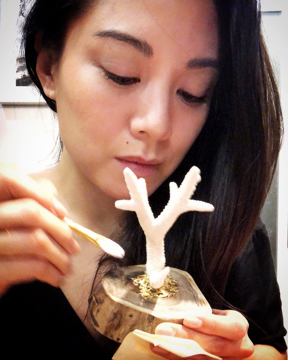 BerniceLiu's tweet photo. “Wings to show you what you can become, roots to remind you where you’re from.” #goodmorning #quotestoinspire #hongkong #mondaymotivation #feelingblessed #berniceliu #廖碧兒 #metime #lovelife #homesweethome #handmadecrafts #funnight #processiseverything https://t.co/mLqwnrFlHp