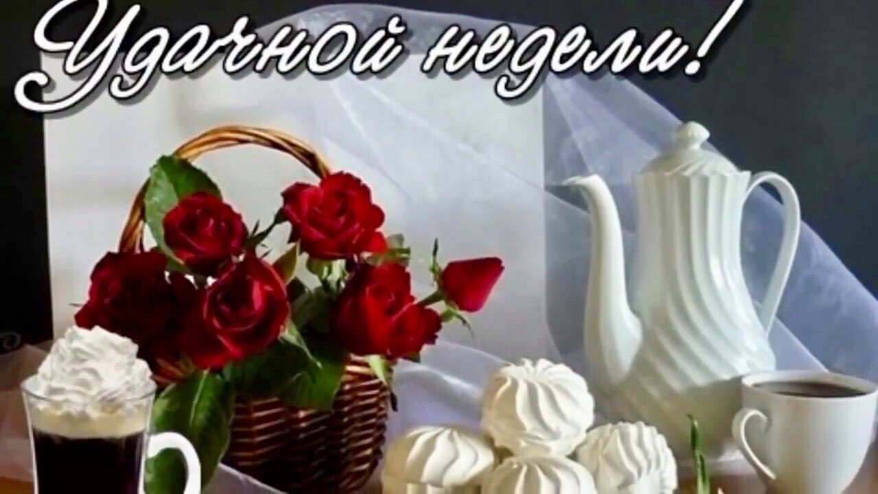 Тюльпанов открытки, картинки доброе утро легкого понедельника отличной недели
