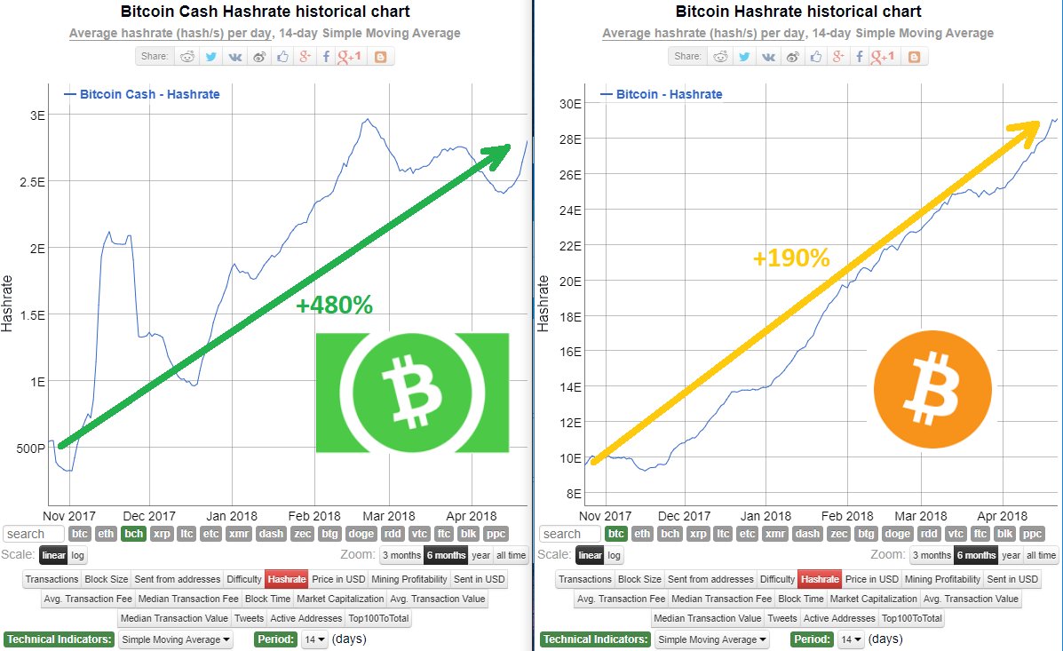 Bitcoin Cash Growth Chart