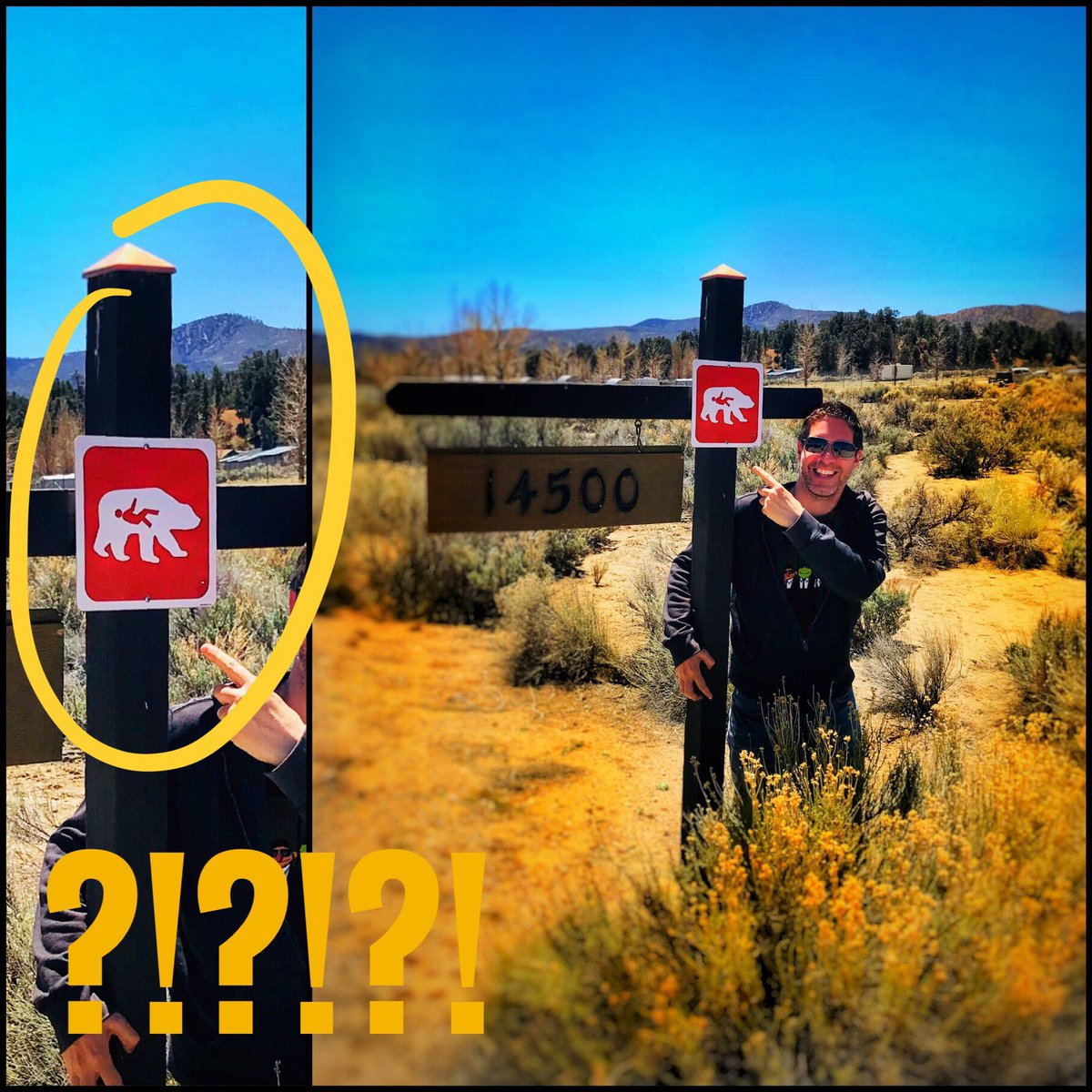 LoriteFrancisco's tweet image. Fair warning: when u go for a stroll in the desert, u could end up in a...BEAR’S STOMACH?!?#funniestsignever #takingmychances #Iguess