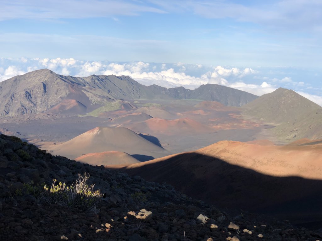 Sachin Agarwal tweet media