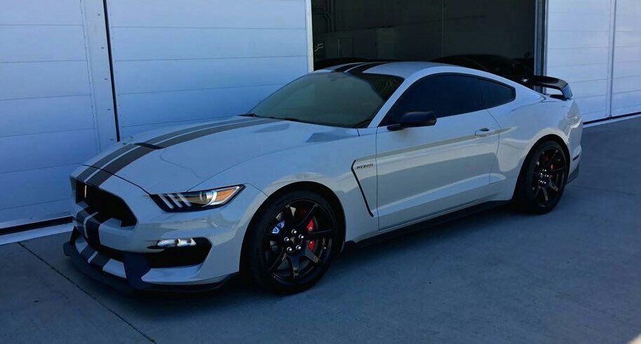 SweetRidesOnly's tweet image. Stang🐎