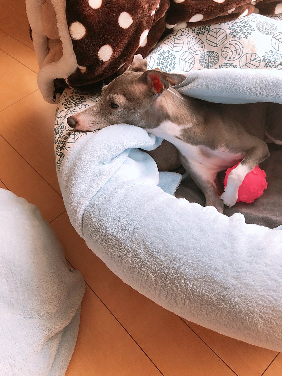 itagures's tweet photo. 宝物 https://t.co/fTpVb8ay2A