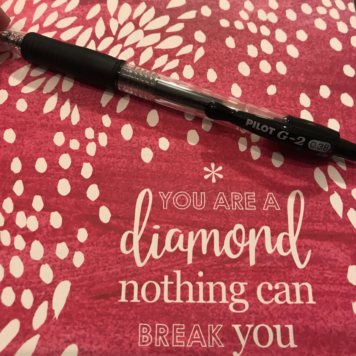 nmehlum005's tweet photo. Iβve been using this Pilot G-2 0.38 pen for all of 10 minutes, and in that short period of time, itβs become my favorite pen.
#Pilot #PilotG2 #ECPlanner #BudgetPlanner @PilotPenUSA https://t.co/Cny8FhAOM7