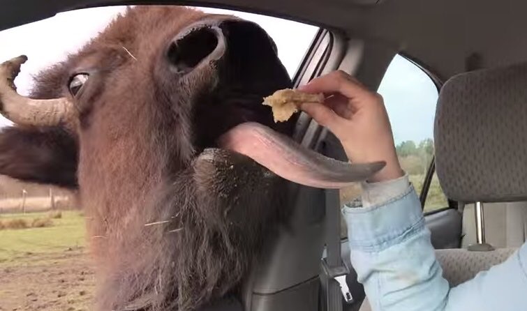 BanterHawk's tweet photo. The anti-drive thru... https://t.co/Fm7LJCq3xu https://t.co/eO8yynCK7s