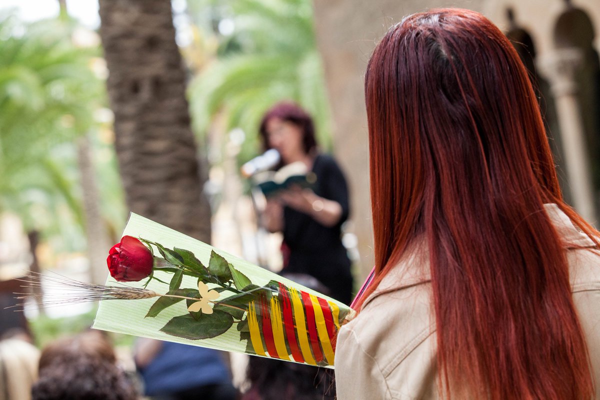 Feliç Diada de #SantJordi! #SantJordi18 #SantJordi2018 #SantJordiTV3