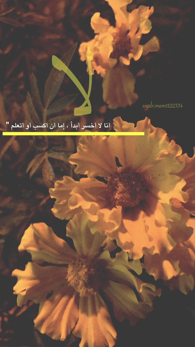 ‏﮼ميـّم ‏﮼ tweet media