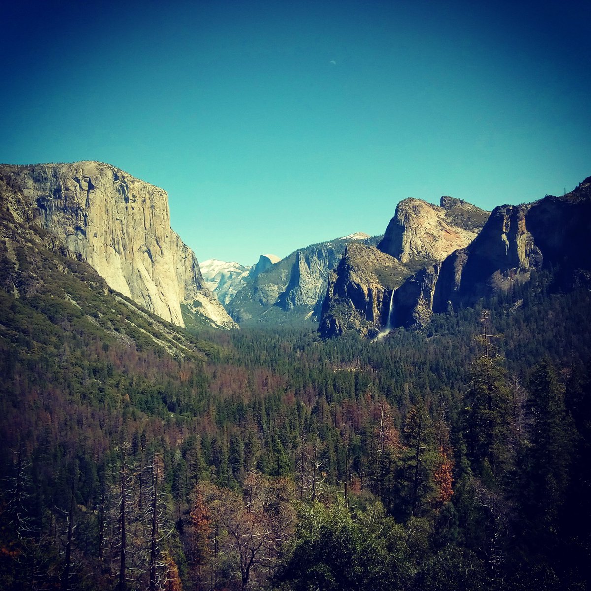 natpackertravel's tweet photo. Tunnel View @YosemiteNPS On the right is #ElCapitan and on the right you can see #Halfdome and #bridalveilfalls. The best view of the valley @extranomical #USpacker https://t.co/leLTMN2R4X