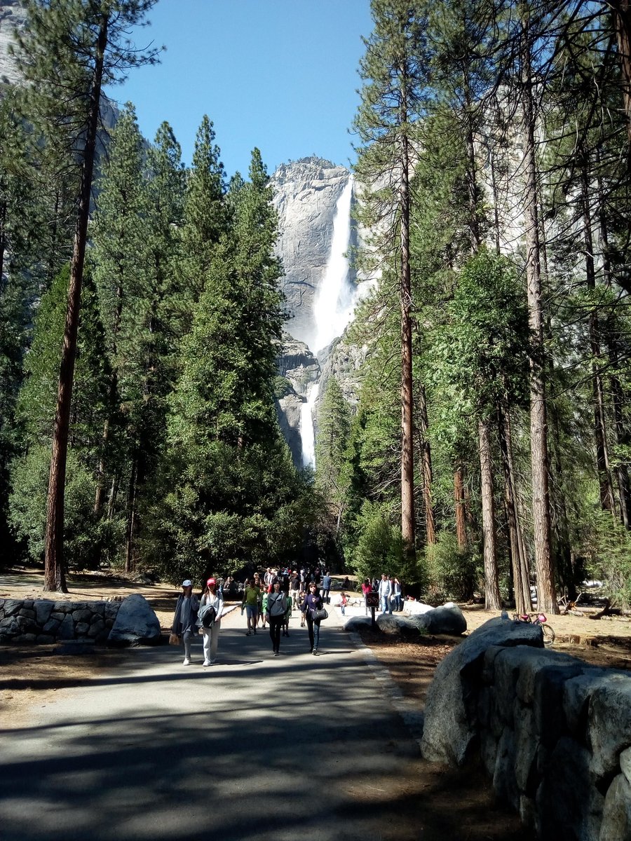 natpackertravel's tweet photo. #YosemiteFalls, such beautiful waterfalls @YosemiteNPS @extranomical #USpacker https://t.co/9UWF0dv13H