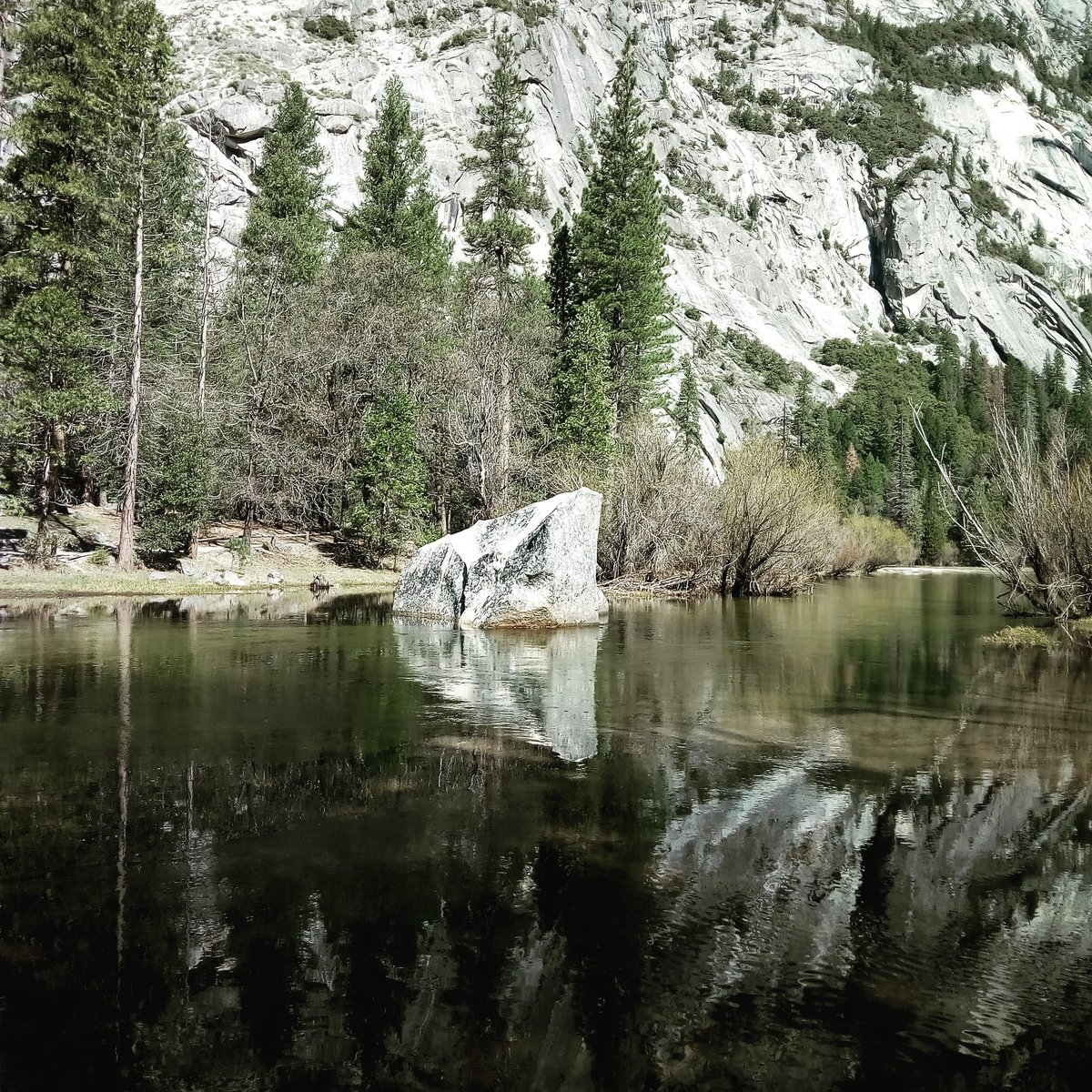 natpackertravel's tweet photo. Before getting picked up by @extranomical I managed a few walks near #HalfDomeVillage and then look at the gorgeous girl that showed up at the camp @YosemiteNPS #USpacker https://t.co/GRI5C51zvY