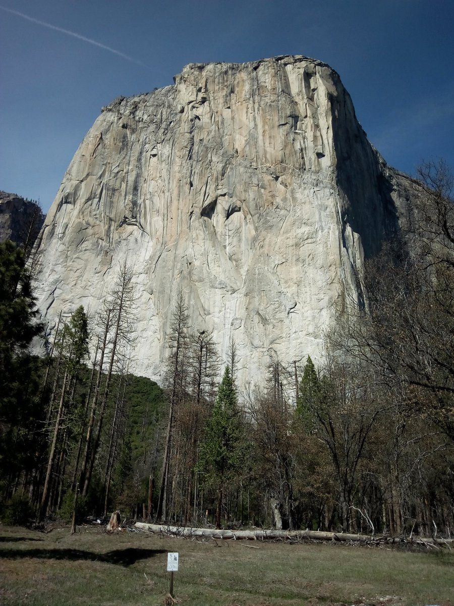 natpackertravel's tweet photo. There were some more amazing views on the way back to San Francisco with @extranomical and the flood sign is scary! I can't even reach it! @YosemiteNPS #USpacker https://t.co/4jgSv7VP3q