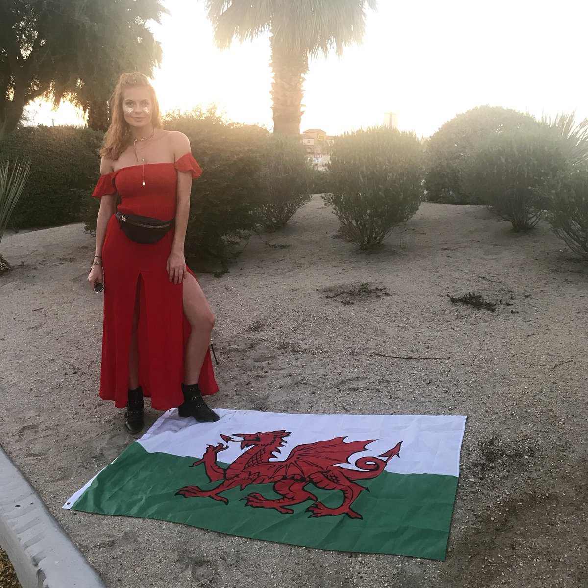 SophieEvans's tweet photo. 🎡🇺🇸I may be the other side of the world, my heart is always at home🏴󠁧󠁢󠁷󠁬󠁳󠁿🎡 https://t.co/LKklr107xS