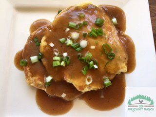 OnwesthoffRanch's tweet photo. Egg Foo Yung (gluten free &amp; Keto friendly)
https://t.co/rOPCddobVq https://t.co/CV4hsJJMp8
