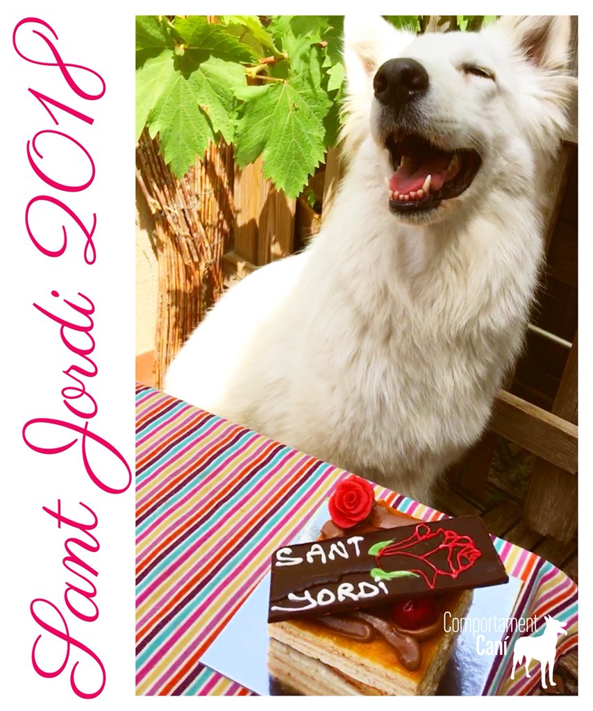 ComportamentCan's tweet photo. Feliç diada de #SantJordi 📖🐉🌹🌾#diadesambgos 🐶
#Boira #culturaalcarrer 🐾 #santjordi2018 #llibres #roses i #amor per a tots... 😍🎉 https://t.co/evyWuHZhDn