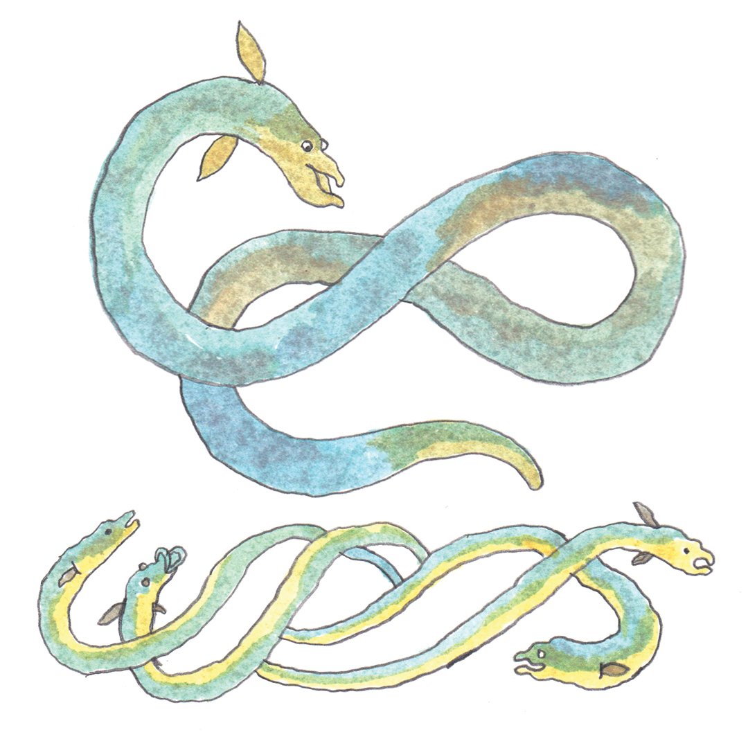 eelsuitcase's tweet photo. Vomp or vump? Clatting or clotting? We're creating a glossary of words about eels - forgotten words, regional words, specialist words, eel-fishing words - and we need your help. Have a look at what we've got so far and please get in touch with your own: https://t.co/RTEIsBOnlq https://t.co/x4PLqN4XqZ