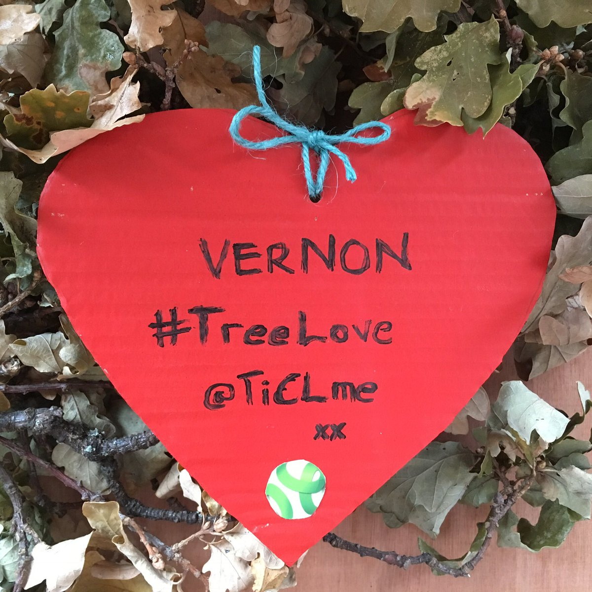 sj_unwin's tweet photo. 💚Day 69💚of Vernon’s 💚#showthelove 💚#ValentinesDay 💚 celebration heart messages “VERNON #TreeLove @TiCLme xx”
 #standwithVernon @SAVEDORETREES
#SaveSheffTrees
#TheWorldIsWatching 
#StandUpForTrees 
#NoMoreFelling https://t.co/rEuploDR8c